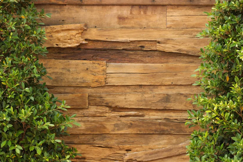 Textured wooden wall with rich brown tones, framed by lush green foliage, showcasing ceiling wood texturing design.