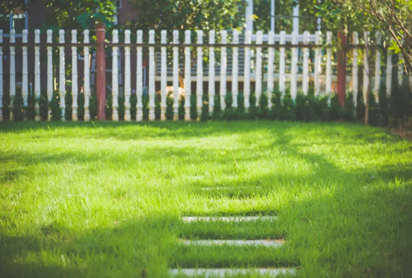 Sunny green lawn with white picket fence in background, creating a peaceful outdoor setting for lawn custom finishes.