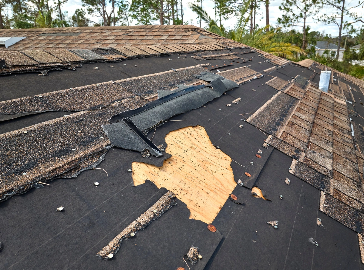 A damaged residential roof with missing asphalt shingles and torn underlayment, exposing the wooden roof deck following a storm.